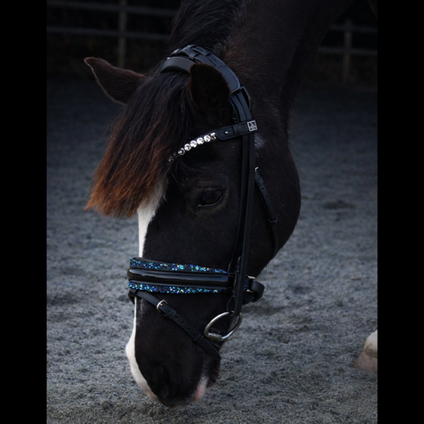SD� Diamond Bridle Black/Navy  (Defect on logo)