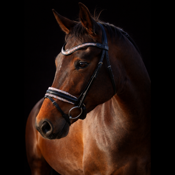 SD� Noseband with Rose Gold Diamonds BL/BL/PT