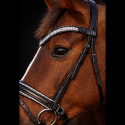 SD� Action Bridle Black/Crystal.