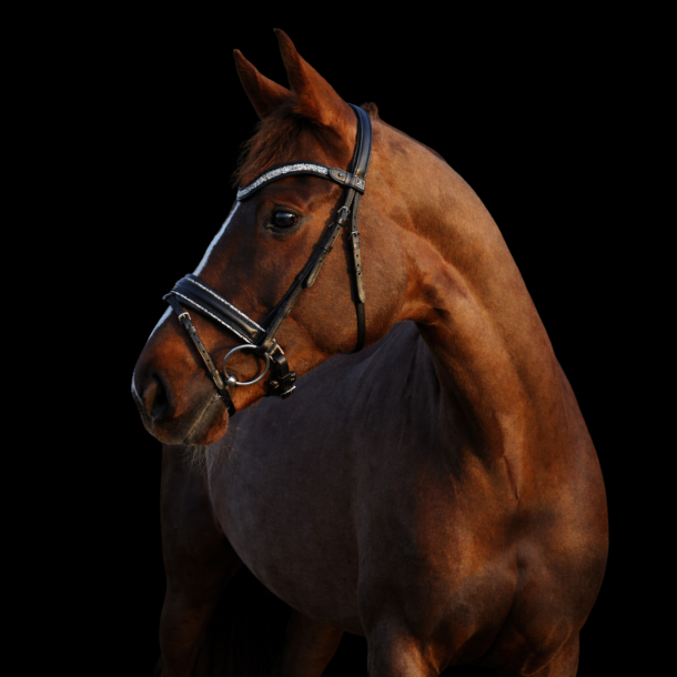 SD� Action Bridle Black/Crystal.