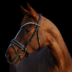 SD� Action Bridle Black/Crystal.