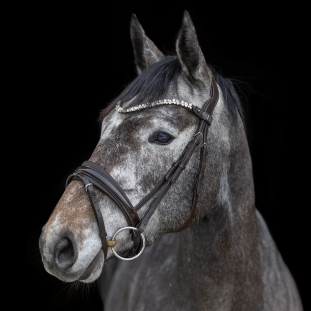 SD� Romanov bridle. Brown/Brown/PT. 