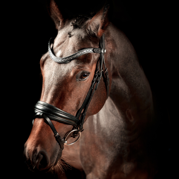 SD Antobello Bridle. Black