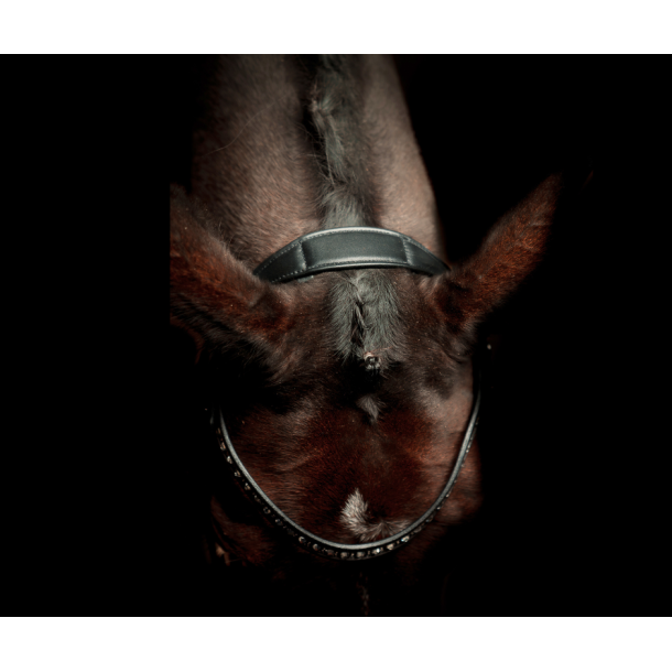 SD Antobello Bridle. Black
