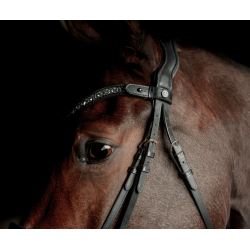 SD Antobello Bridle. Black