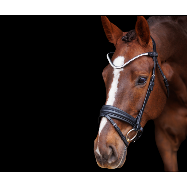 SD Hauso Bridle. Black