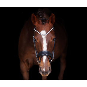 SD Hauso Bridle. Black