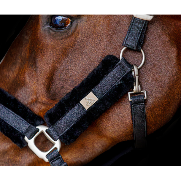 SD Midnight sparkle sheep Halter - Midnight Sparkle.