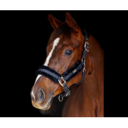 SD Midnight sparkle sheep Halter - Midnight Sparkle.