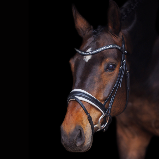 SD Antobello Bridle. Black/White