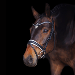 SD Antobello Bridle. Black/White