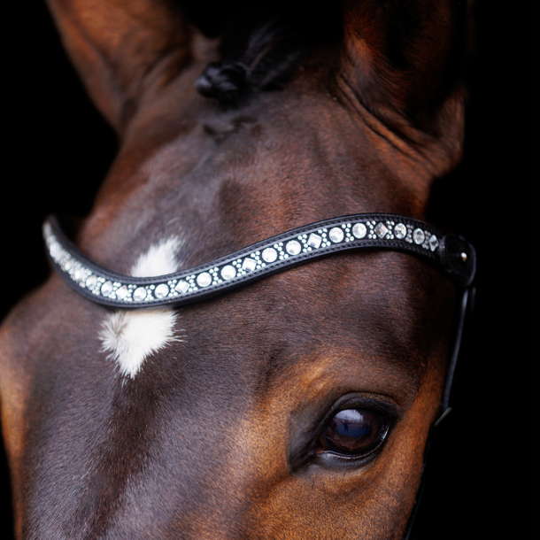 SD Antobello Bridle. Black/White