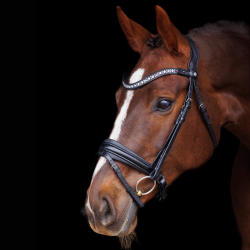 SD Antobello Bridle. Black