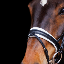 SD Hauso Bridle. Black/White.