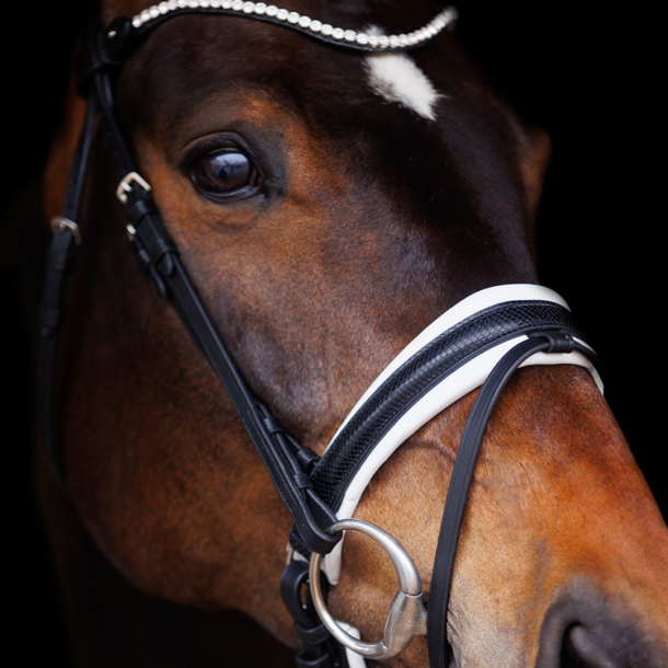 SD Hauso Bridle. Black/White.