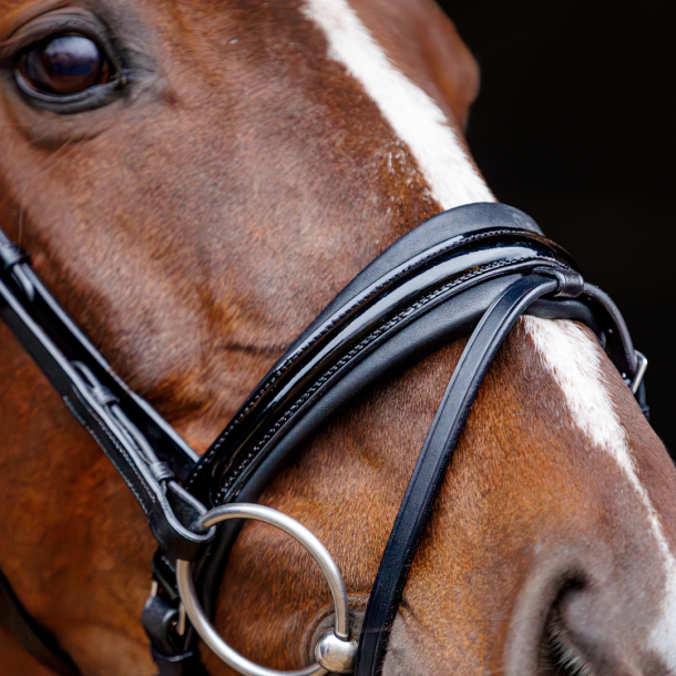 SD Marzog anniversary Bridle. LIMITED EDITION. Black/Patent 