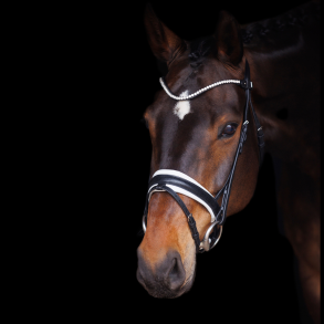 SD Hauso Bridle. Black/White.