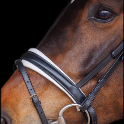 SD Antobello Bridle. Black/White