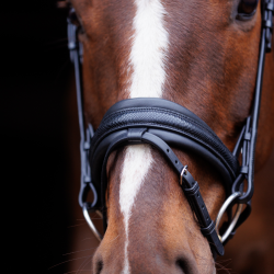 SD Hauso Bridle. Black