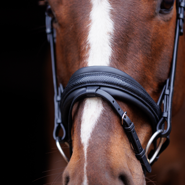 SD Hauso Bridle. Black