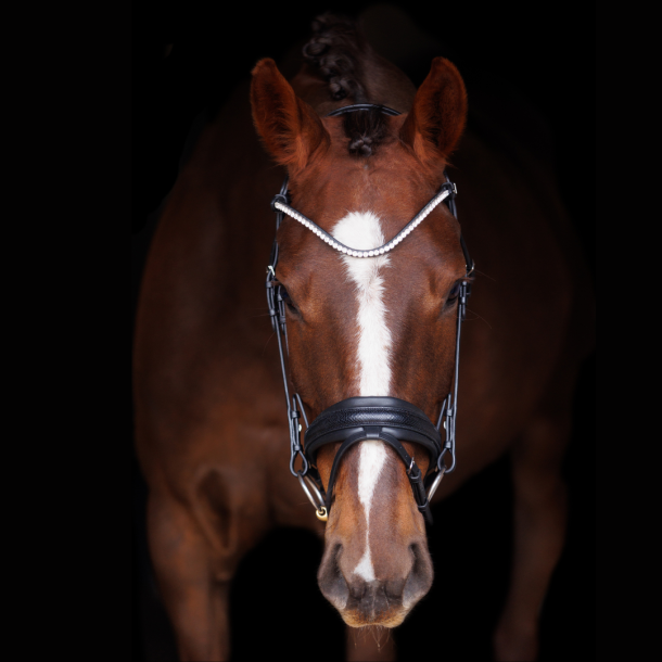 SD Hauso Bridle. Black
