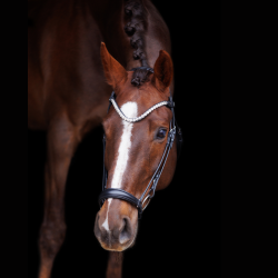 SD L nique dropnose bridle. Black/Black.