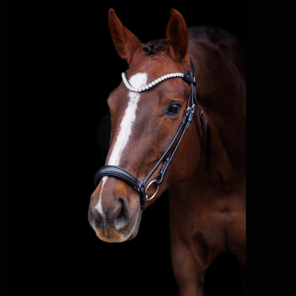SD L nique dropnose bridle. Black/Black.