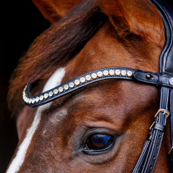 SD Marzog anniversary Bridle. LIMITED EDITION. Black/Patent 