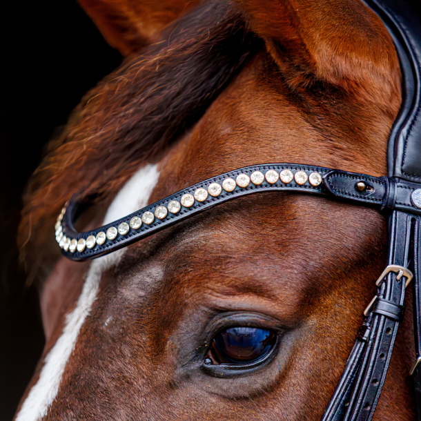 SD Marzog anniversary Bridle. LIMITED EDITION. Black/Patent 