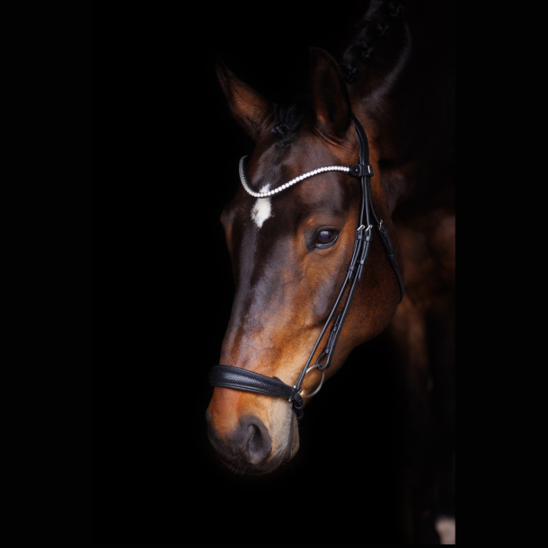 SD Hauso Dropnose Bridle.
