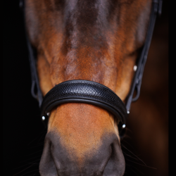 SD Hauso Dropnose Bridle.