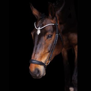 SD Hauso Dropnose Bridle.
