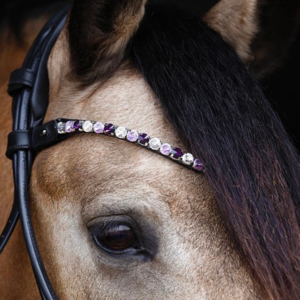 SD L nique browband. Purple Dream