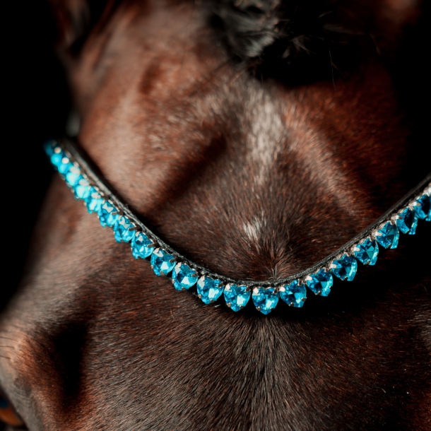 SD Je time browband. Black/Blue