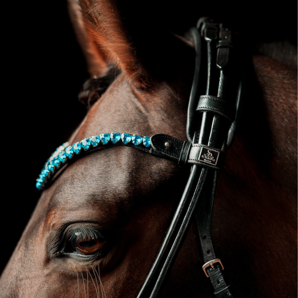 SD Je time browband. Black/Blue