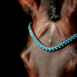 SD Je time browband. Black/Blue