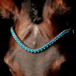 SD Je time browband. Black/Blue