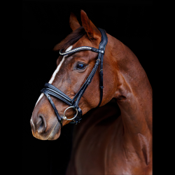 SD Marzog anniversary Bridle. LIMITED EDITION. Black/Patent 