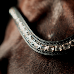 SD Valverde Browband.