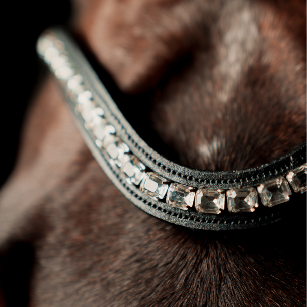 SD Valverde Browband.