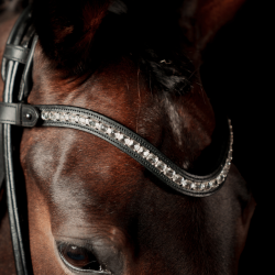 SD Valverde Browband.