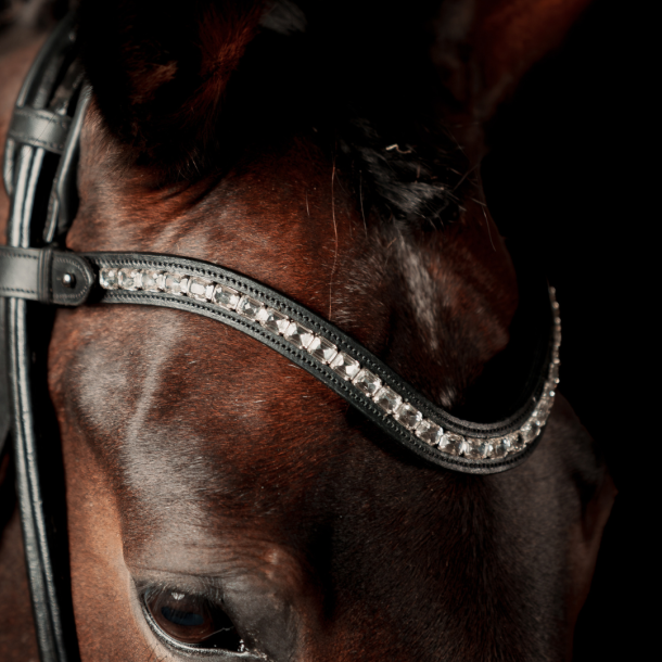 SD Valverde Browband.