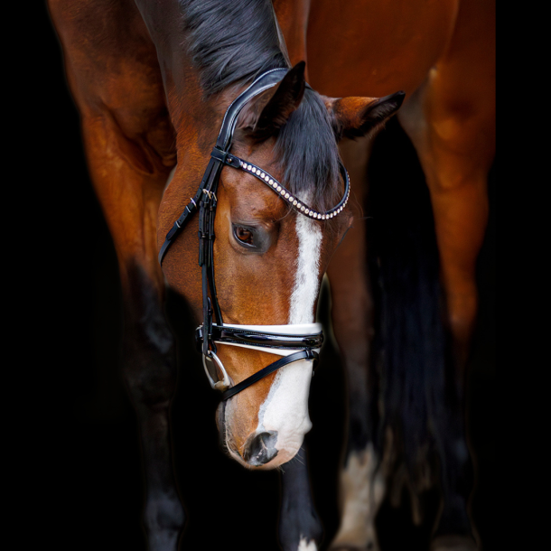 SD Marzog anniversary Bridle. LIMITED EDITION. Black/white/Patent 