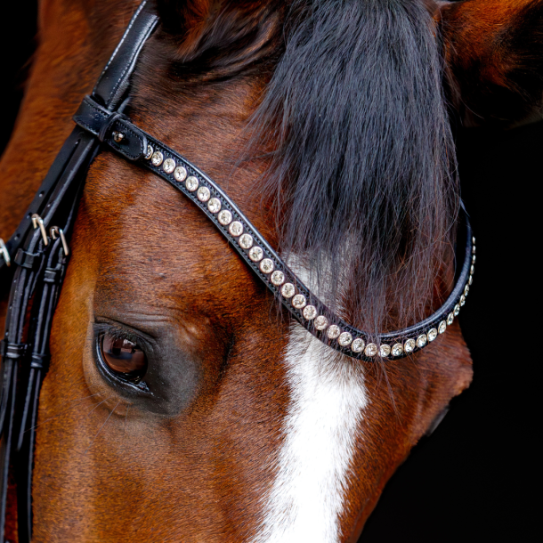 SD Marzog anniversary Bridle. LIMITED EDITION. Black/white/Patent 