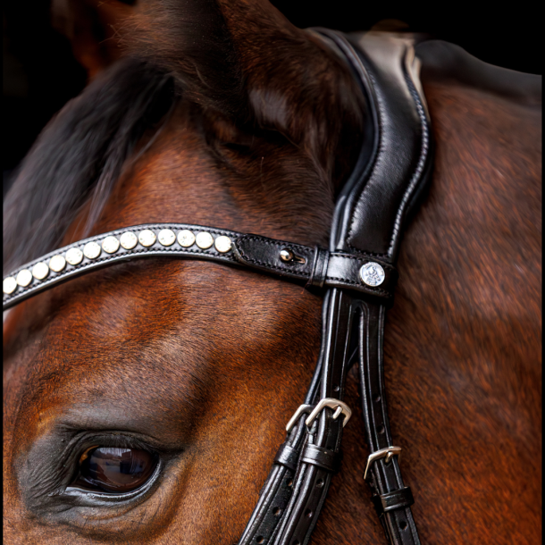 SD Marzog anniversary Bridle. LIMITED EDITION. Black/white/Patent 