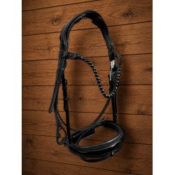 Auktion 5 Black Beauty Bridle