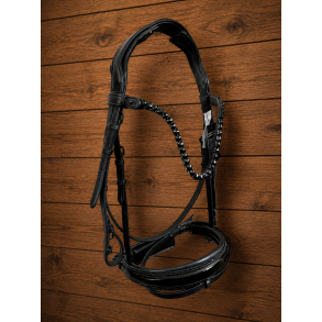 Auktion 5 Black Beauty Bridle