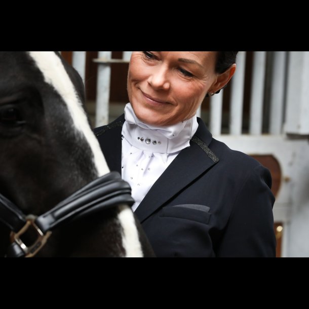 SD Crystal Dream Stock Tie.