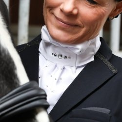 SD Crystal Dream Stock Tie.