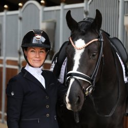 SD Classic Stock Tie.